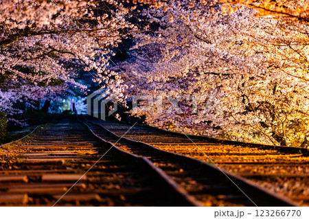 京都府 蹴上インクライン・桜風景 京都府 蹴上インクライン・桜風景 123266770