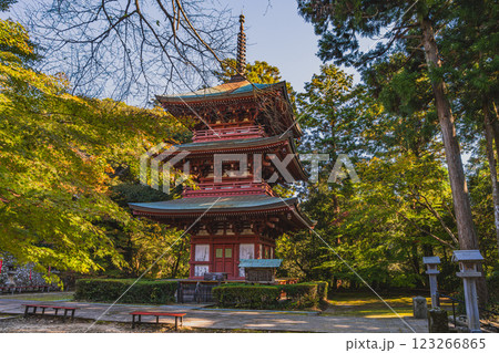 袋井市にある紅葉に包まれた油山寺の三重塔の風景(静岡県) 123266865