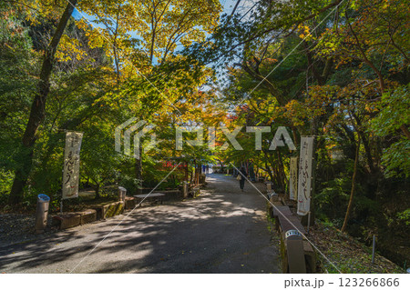 袋井市にある紅葉に包まれた油山寺の参道の風景(静岡県) 袋井市にある紅葉に包まれた油山寺の参道の風景(静岡県) 123266866