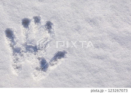 Human handprint in the snow. Human hand	 123267073