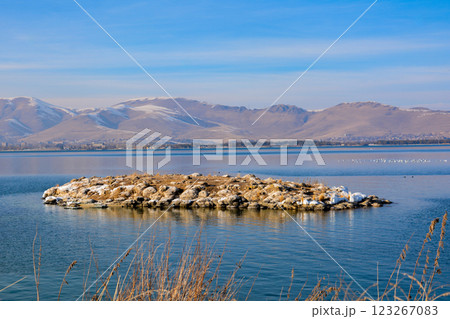 Island in the middle of the lake. Ice lake. Sea and island. Winter landscape with river and mountains.. Frozen lake Island in the middle of the lake. Ice lake. Sea and island. Winter landscape with river and mountains.. Frozen lake 123267083