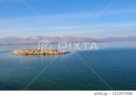 Frozen lake and snowy mountains. Tall grasses on the lake. Bamboo and frozen river. Beautiful winter landscape with lake and mountains. Ice lake	 123267086
