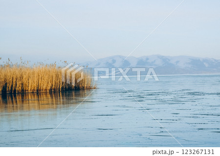 Frozen lake and snowy mountains. Tall grasses on the lake. Bamboo and frozen river. Beautiful winter landscape with lake and mountains. Ice lake	 123267131