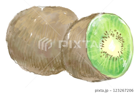 新鮮で美味しそうなキウイの水彩イラスト 123267206