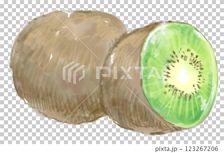 新鮮美味的獼猴桃水彩插圖 123267206