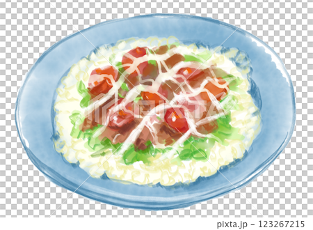 佐賀的靈魂食物－美味的西西里米的水彩畫 123267215