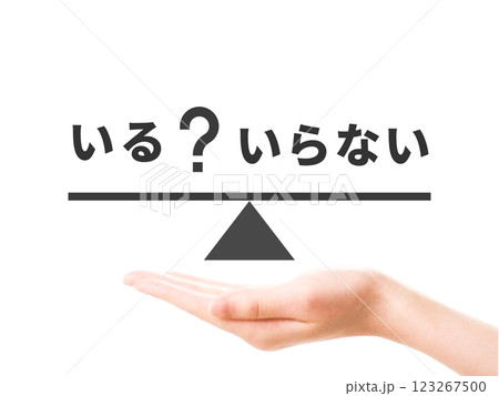 いるといらない文字入りのバランス板 いるといらない文字入りのバランス板 123267500