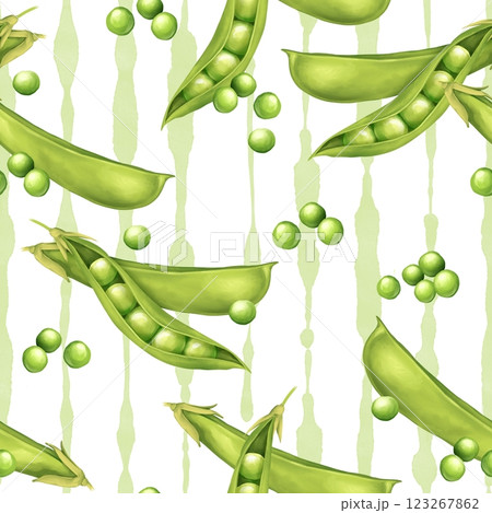 Green peas vegetable on striped background. Seamless pattern. Green peas vegetable on striped background. Seamless pattern. 123267862