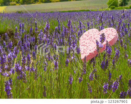 Lavender field and heart shaped pink sponge. Spa aromatherapy and cosmetology. Lavender field and heart shaped pink sponge. Spa aromatherapy and cosmetology. 123267901
