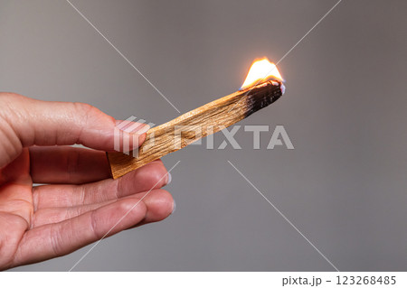 Wooden palo santo stick in the hand on the gray background. Aroma therapy. Wooden palo santo stick in the hand on the gray background. Aroma therapy. 123268485