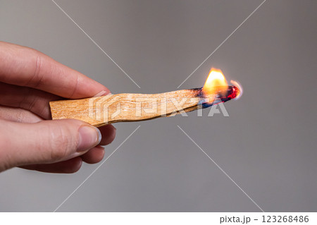 Wooden palo santo stick in the hand on the gray background. Aroma therapy. Wooden palo santo stick in the hand on the gray background. Aroma therapy. 123268486