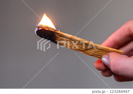 Wooden palo santo stick in the hand on the gray background. Aroma therapy. Wooden palo santo stick in the hand on the gray background. Aroma therapy. 123268487