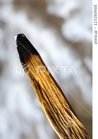 Wooden palo santo stick in the hand on the white background. Aroma therapy.	 123268488