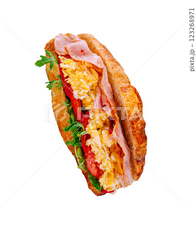 Delicious croissant sandwich with ham, eggs, and fresh vegetables Delicious croissant sandwich with ham, eggs, and fresh vegetables 123268971