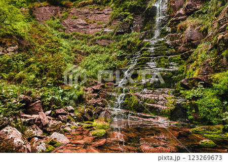 Waterfall Tri Kladenca in Arbinje Nature Reserve Waterfall Tri Kladenca in Arbinje Nature Reserve 123269673