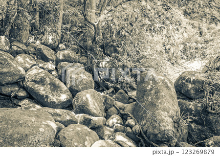 Rocks boulders trees natural tropical jungle forest Ilha Grande Brazil. 123269879