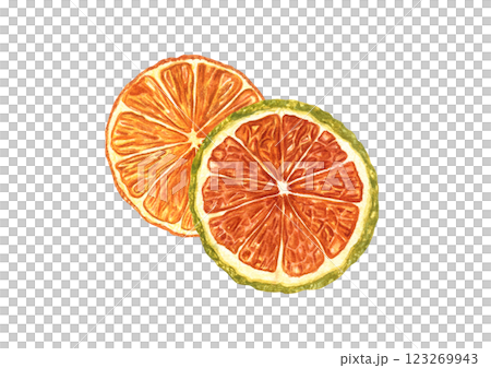 Two dried Orange fruit slices watercolor illustration isolated background. Citrus ingredients for mulled wine or alcohol free drink decor. Package of cosmetic or food. Natural Christmas decoration Two dried Orange fruit slices watercolor illustration isolated background. Citrus ingredients for mulled wine or alcohol free drink decor. Package of cosmetic or food. Natural Christmas decoration 123269943