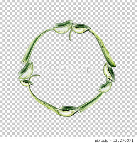 watercolor wreath with fresh aloe vera leaf, cut sections 123270071