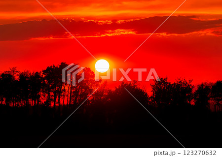 Spectacular sunset with big round sun and red sky. 123270632