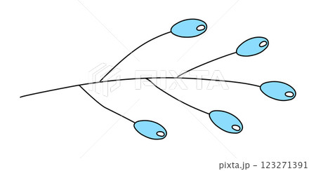 Small blue flax lily or dianella flowers or berries on branch, doodle style vector 123271391