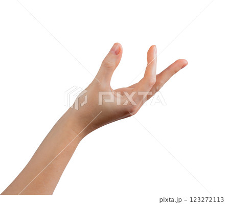 Female hand elegantly positioned in a presenting gesture, fingers gracefully curved with thumb 123272113