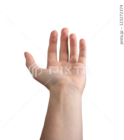 Female hand outstretched with a slightly curved palm, fingers extended in an inviting or requesting Female hand outstretched with a slightly curved palm, fingers extended in an inviting or requesting 123272374