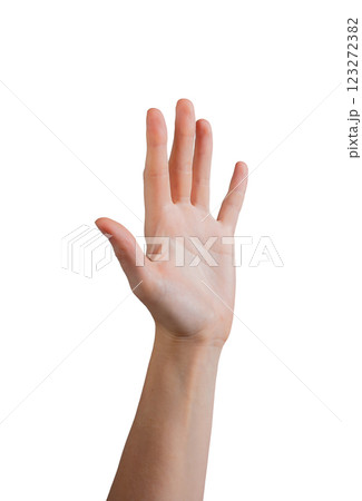Female hand raised with palm outward, fingers spread apart in a gesture of stop, greeting, or Female hand raised with palm outward, fingers spread apart in a gesture of stop, greeting, or 123272382