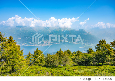 The breathtaking panorama showcases Lake Como nestled among lush hills, with vibrant greenery below and picturesque mountains in the background under a clear blue sky. The breathtaking panorama showcases Lake Como nestled among lush hills, with vibrant greenery below and picturesque mountains in the background under a clear blue sky. 123273000