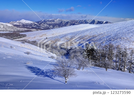 車山湿原の霧氷 123273590