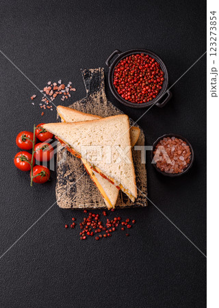 Sandwich with ham, salami, tomatoes, mustard, salt and spices Sandwich with ham, salami, tomatoes, mustard, salt and spices 123273854