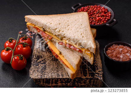 Sandwich with ham, salami, tomatoes, mustard, salt and spices Sandwich with ham, salami, tomatoes, mustard, salt and spices 123273855