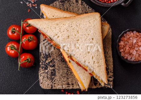 Sandwich with ham, salami, tomatoes, mustard, salt and spices Sandwich with ham, salami, tomatoes, mustard, salt and spices 123273856