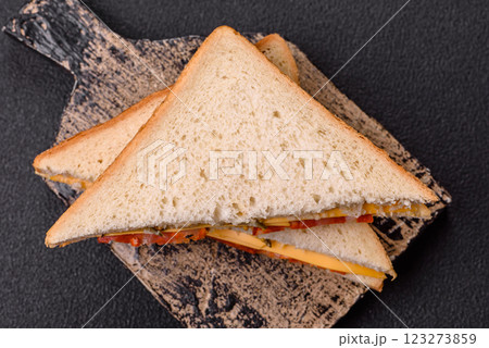 Sandwich with ham, salami, tomatoes, mustard, salt and spices 123273859