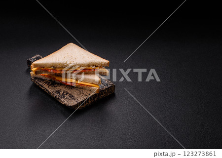 Sandwich with ham, salami, tomatoes, mustard, salt and spices 123273861