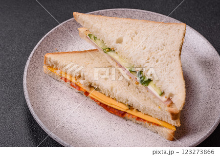 Sandwich with ham, salami, tomatoes, mustard, salt and spices Sandwich with ham, salami, tomatoes, mustard, salt and spices 123273866
