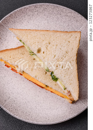 Sandwich with ham, salami, tomatoes, mustard, salt and spices Sandwich with ham, salami, tomatoes, mustard, salt and spices 123273867