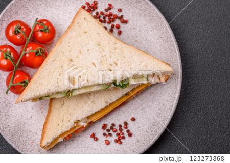 Sandwich with ham, salami, tomatoes, mustard, salt and spices 123273868