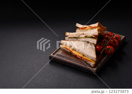 Sandwich with ham, salami, tomatoes, mustard, salt and spices 123273873