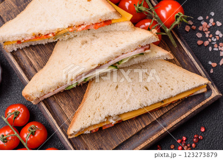 Sandwich with ham, salami, tomatoes, mustard, salt and spices Sandwich with ham, salami, tomatoes, mustard, salt and spices 123273879