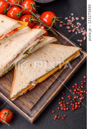 Sandwich with ham, salami, tomatoes, mustard, salt and spices Sandwich with ham, salami, tomatoes, mustard, salt and spices 123273880