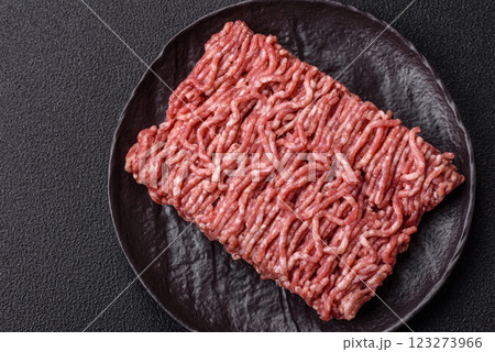 Fresh raw ground minced beef with salt and spices Fresh raw ground minced beef with salt and spices 123273966