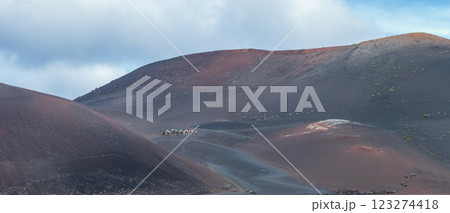 Journey Through the Volcanic Landscape on Camels 123274418
