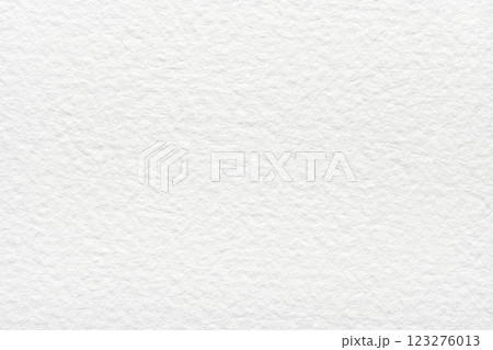 Textured white paper surface with fine grain pattern and subtle fibers Textured white paper surface with fine grain pattern and subtle fibers 123276013