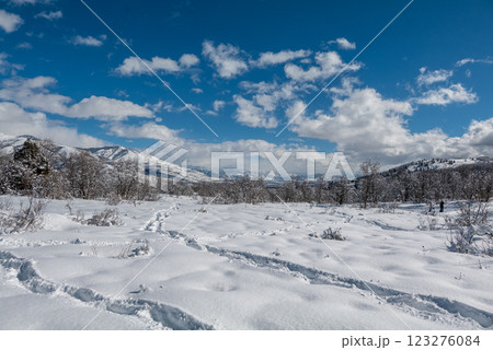 Winter forest trail surrounded by trees in snow, mountains, and blue sky in Utah State 123276084