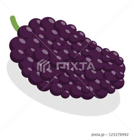 3D Isometric Flat Vector Set of Berries, Healthy Detox Natural Products. Item 4 3D Isometric Flat Vector Set of Berries, Healthy Detox Natural Products. Item 4 123276992