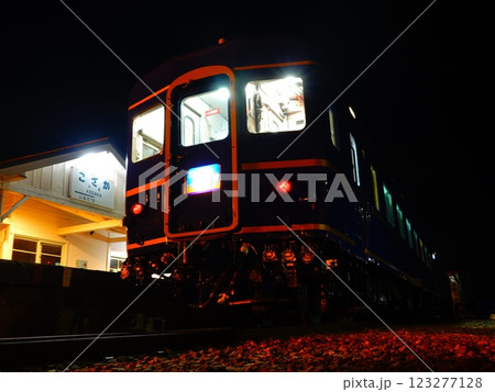 夜の小坂鉄道レールパークにて 123277128