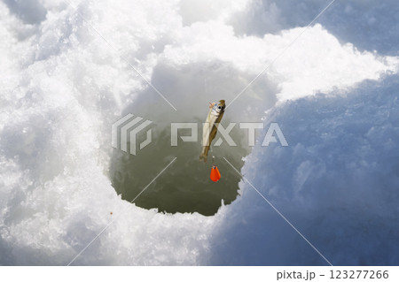 わかさぎ釣り 123277266