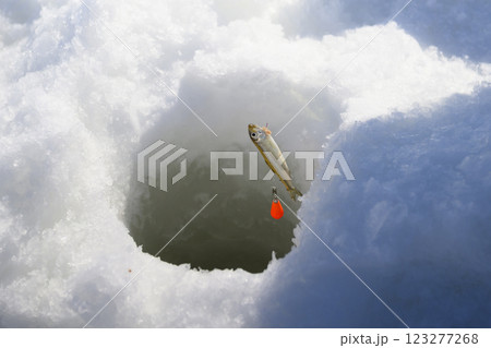 わかさぎ釣り 123277268