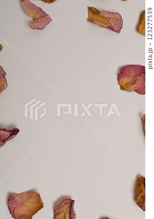 Dry rose petals with a white paper background. Can be used for copy space, greeting, invitation card. Frame, place for adding text, design, Wallpaper, backdrop, cover Dry rose petals with a white paper background. Can be used for copy space, greeting, invitation card. Frame, place for adding text, design, Wallpaper, backdrop, cover 123277539
