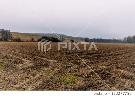 landscape. agricultural fields in winter 123277756